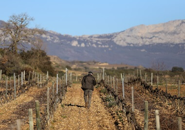 Familia Chávarri_OceněnáVína_CZ_1